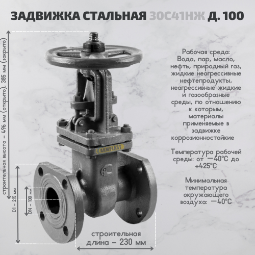 Задвижки. Чугунные фланцевые задвижки 30с41нж ДУ 100