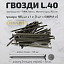 Гвозди 2,0*40 Гвозди 2,0*40